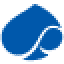 Capgemini Salary Slip logo